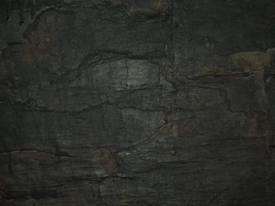 Free and practical black stone-like wood PBR texture and material