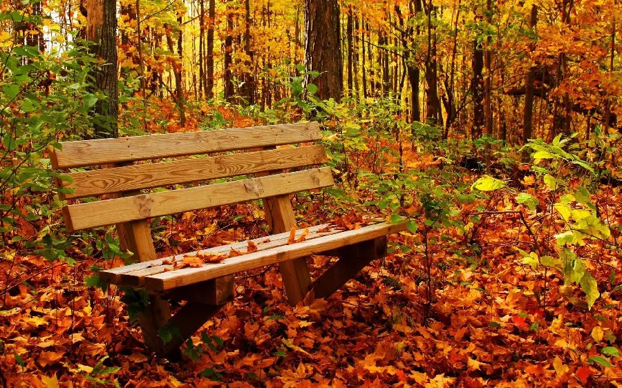 Download desktop and computer backgrounds
