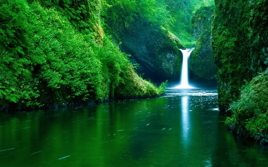 Beautiful and dreamy photo of a tall waterfall in India for Windows 