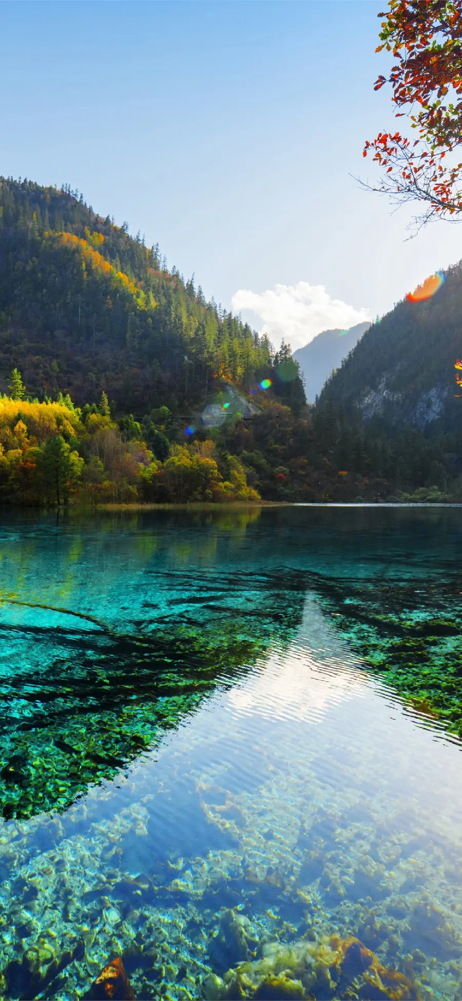 Unique Lake Nature Art Photo for Mobile Background