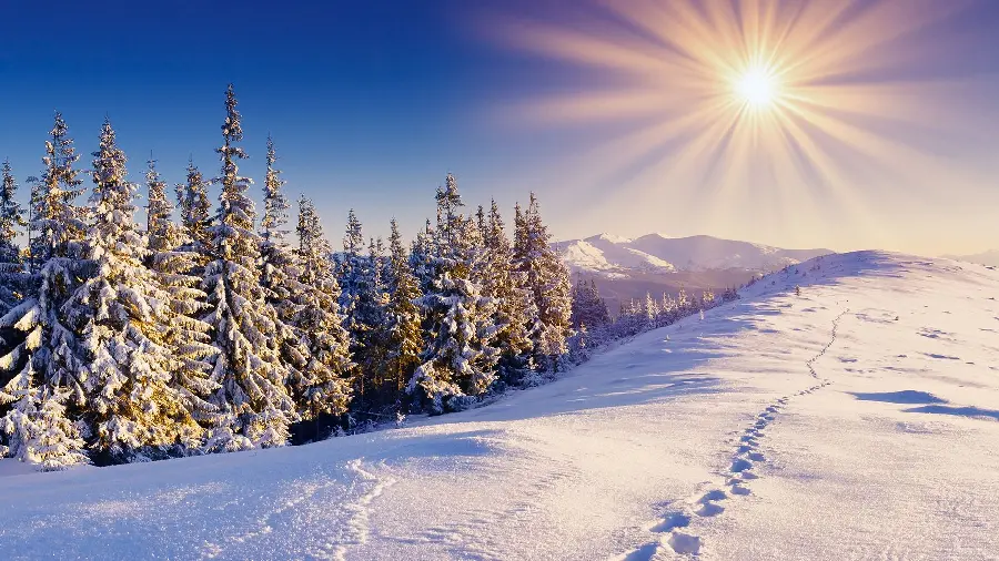 Snowy winter photo for cool profile