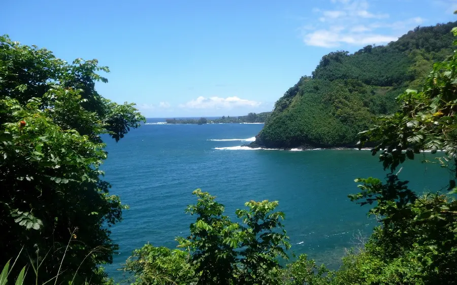 Nature full hd background photo of the blue sea with a green forest border suitable for desktop