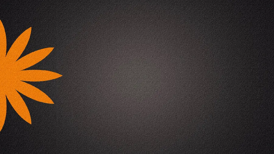 Beautiful orange flower background suitable for writing poetry and text with 8k quality
