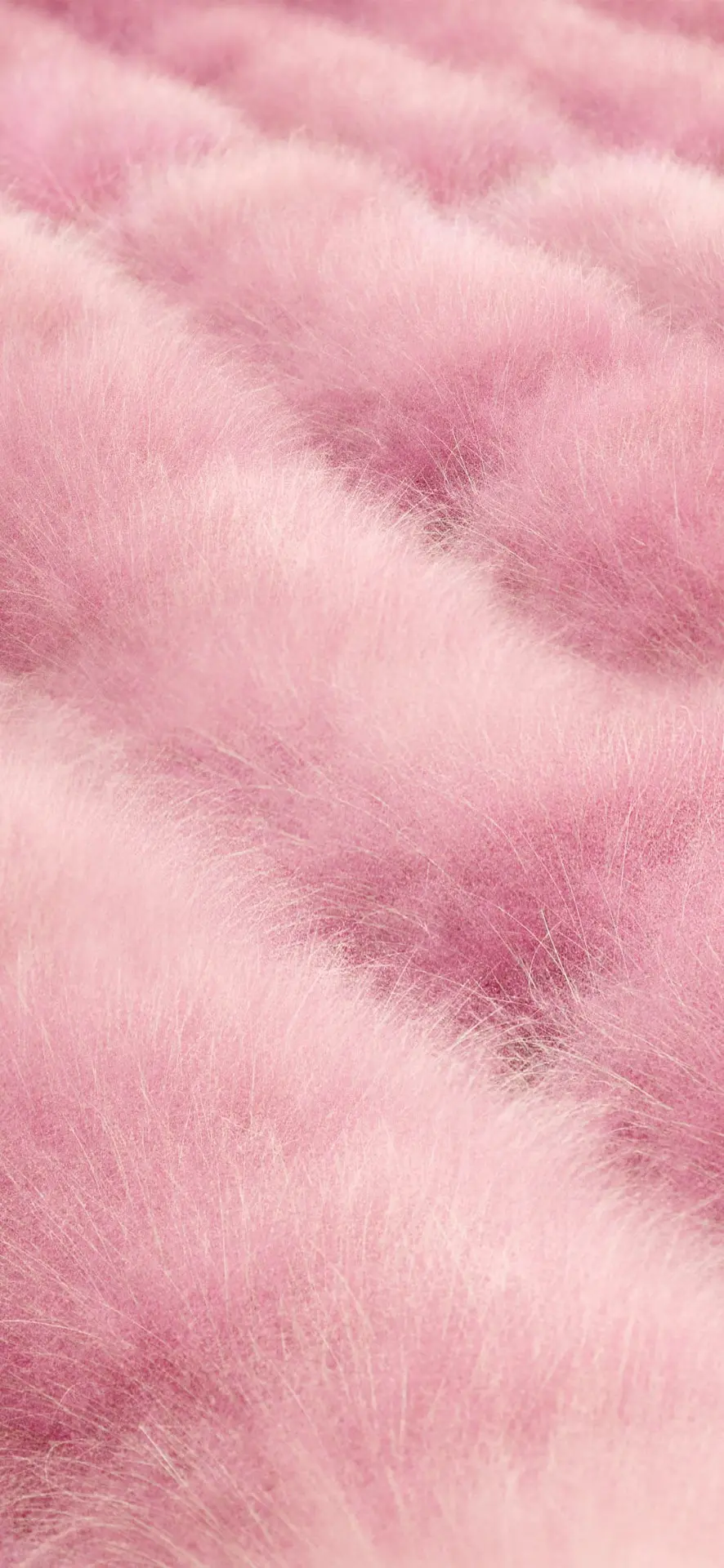 Pink and Pink Background for Mobile Phone