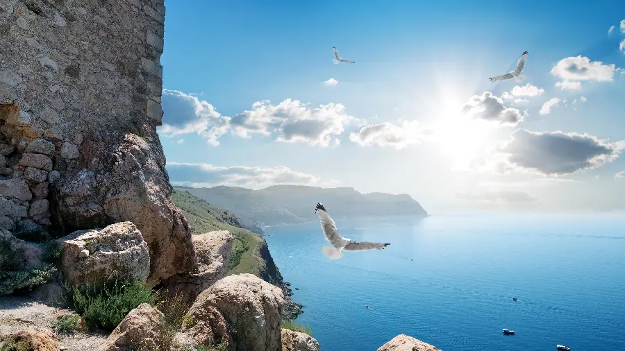 Spectacular Sea Wallpaper with Flying Birds Ultra HD 3840 x 2160