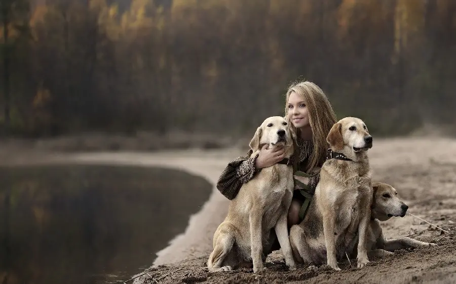 Photo of kind domestic dogs next to their owners