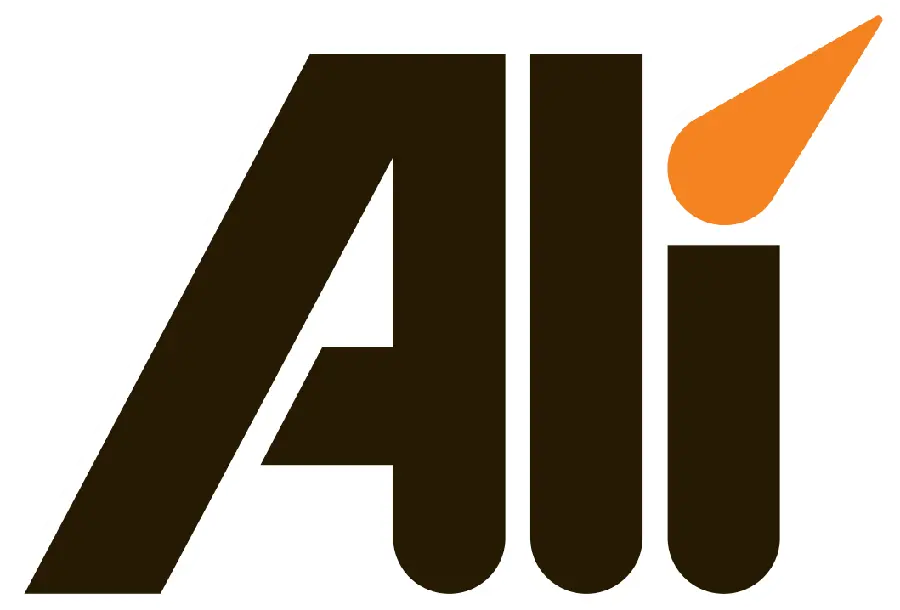 Ali English layered vector in stylish black and orange