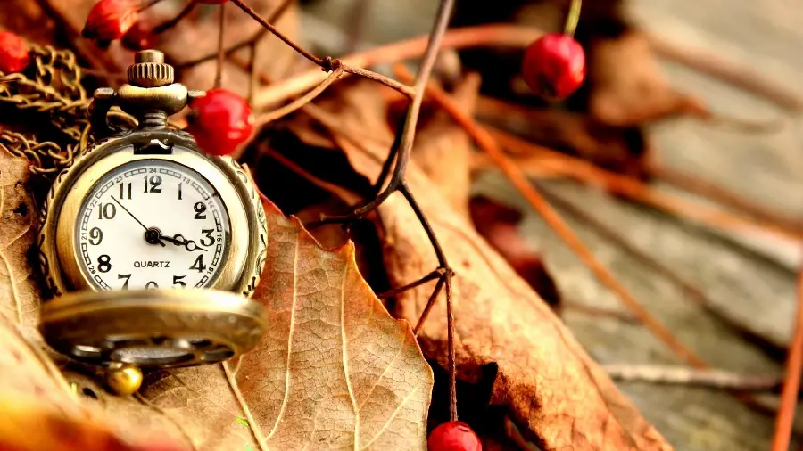 Old quartz clock in the embrace of autumn leaves for a profile 1402