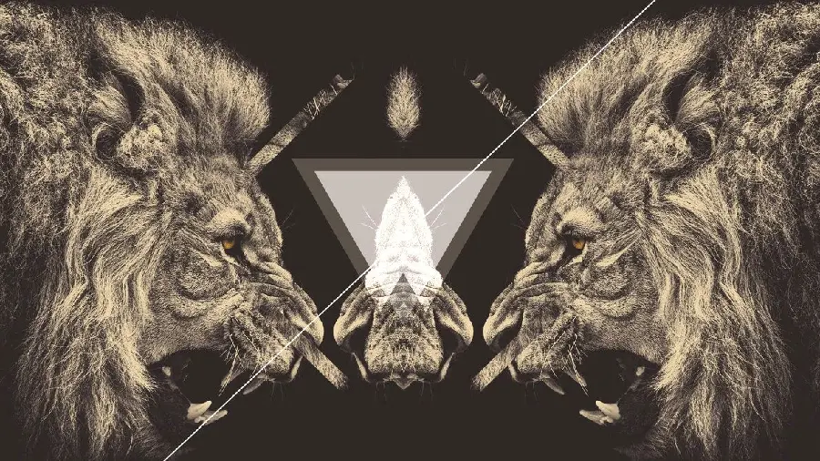 Photo of white lion on black background and abstract design