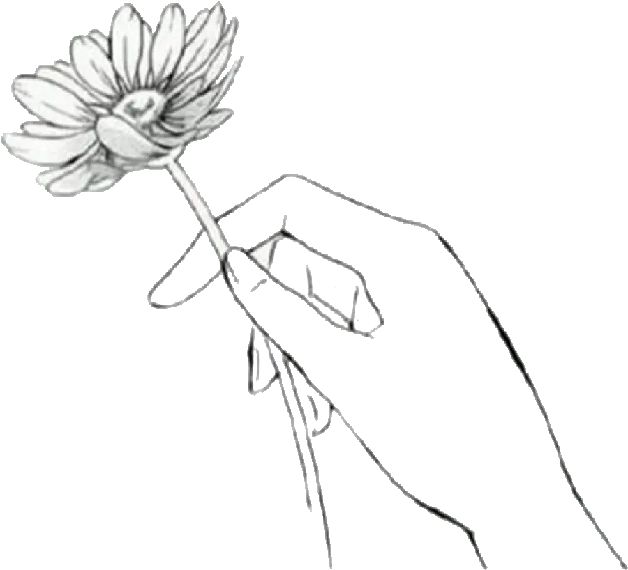 Flower png photo for download