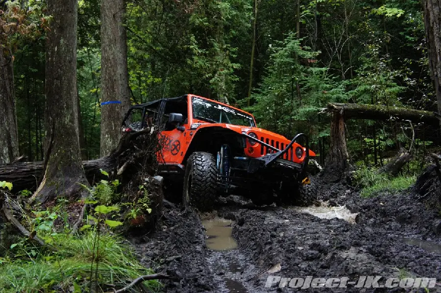 Cool Offroad Photo in the Forest