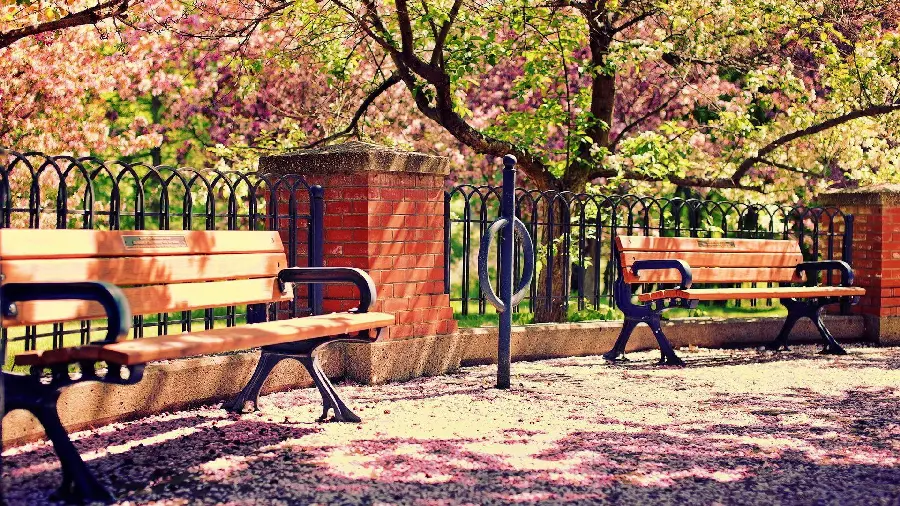 Back Grand relaxing of empty park benches in spring 