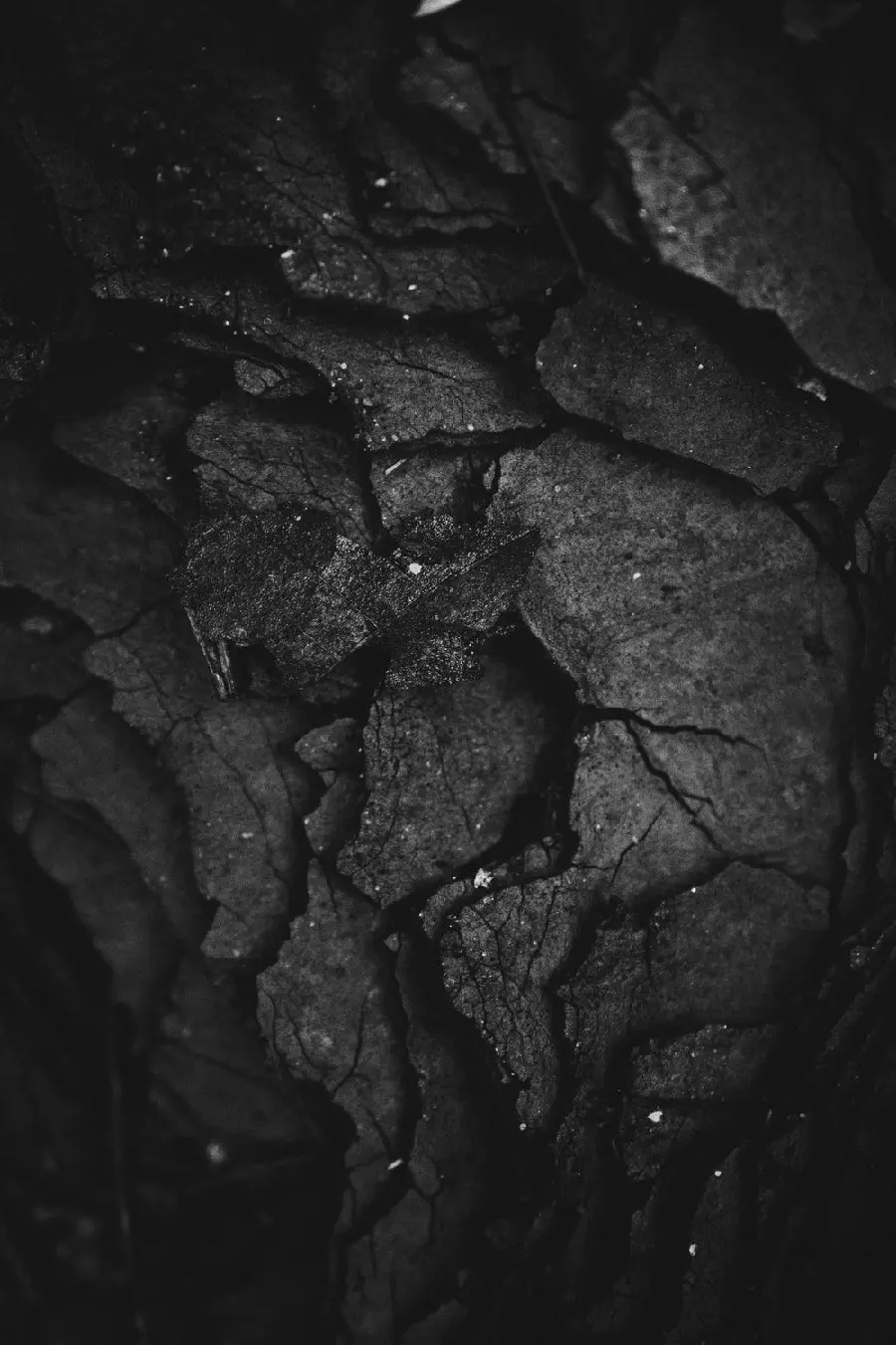 Black Coal Texture or Texture for 3ds Max