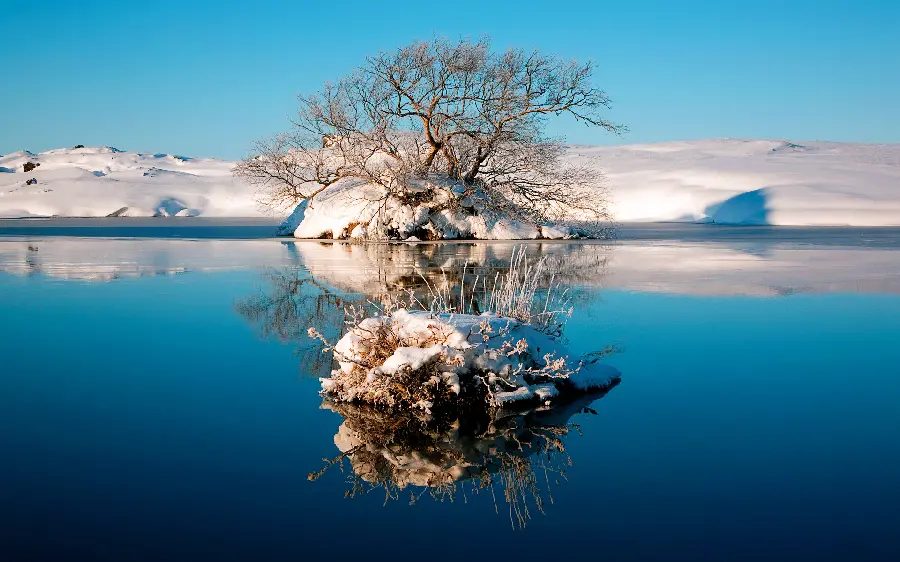Nature background photo of the frozen edge of the blue lake for iPhone and SamSung 