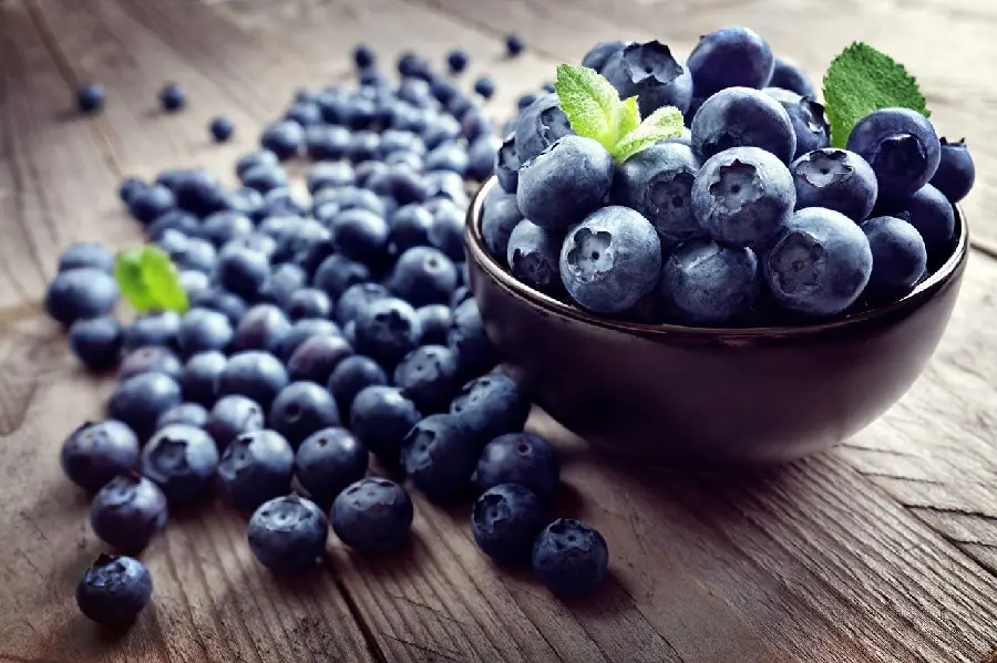 Photo of delicious and ripe blueberry fruit seeds