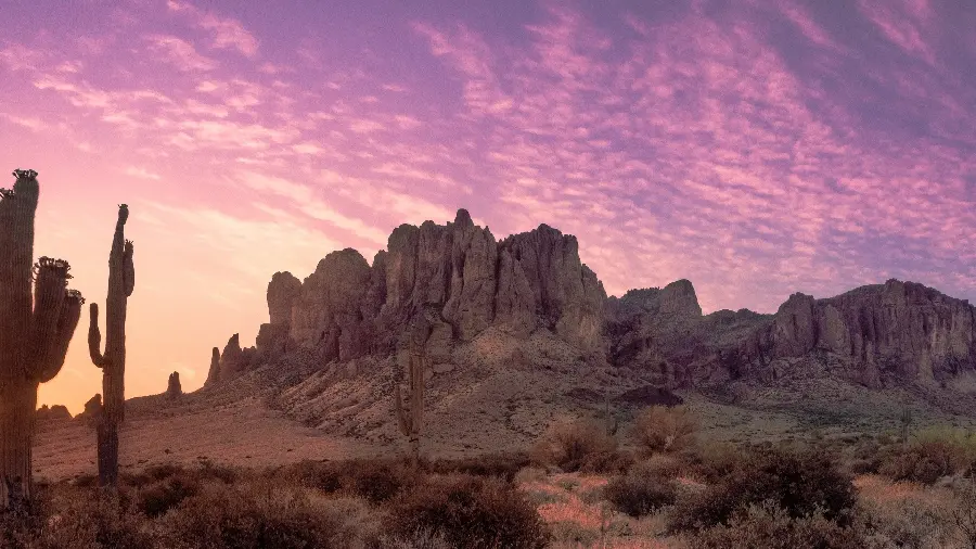 Beautiful photo of a beautiful sky with wonderful cacti 