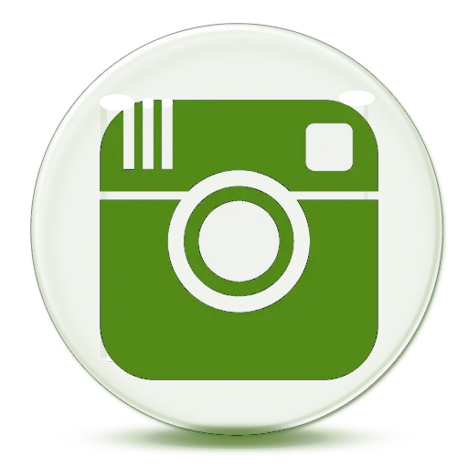 Instagram quality logo photo in green PNG