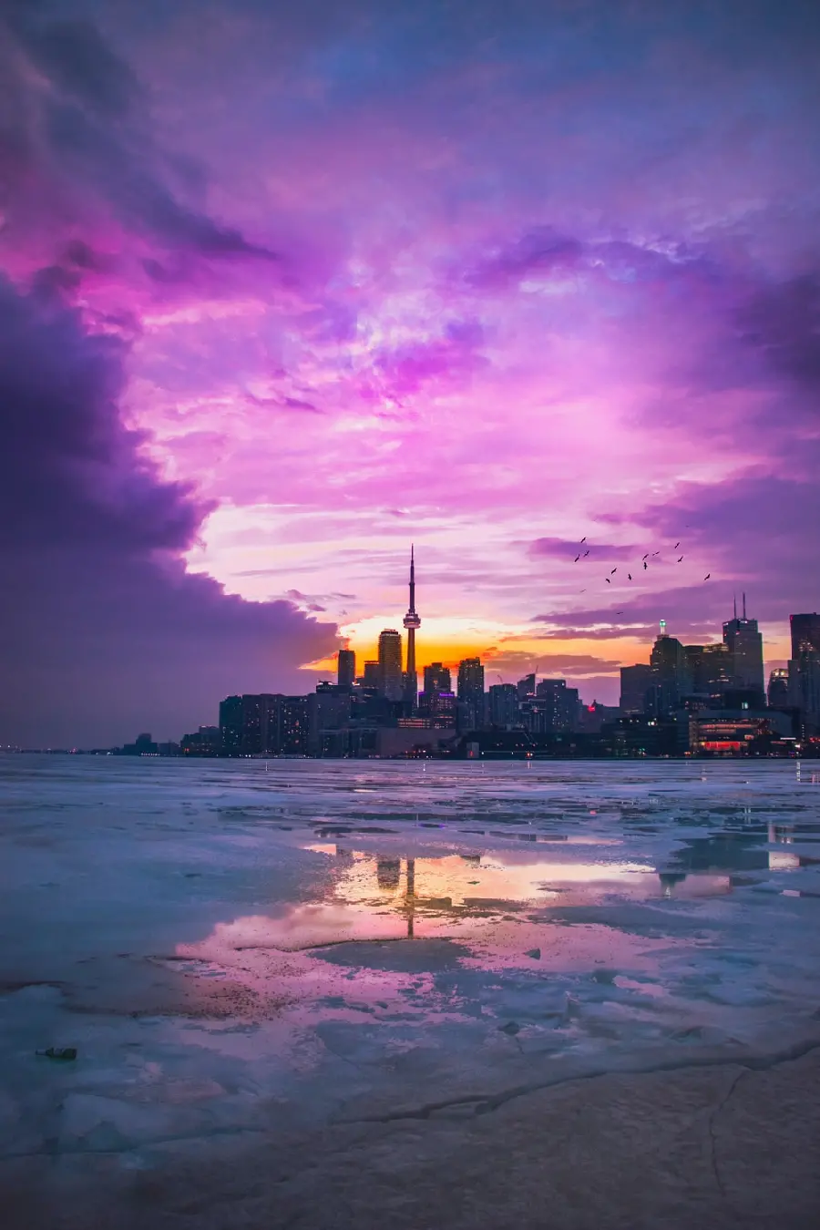 Image of the beautiful city of Toronto under a dreamy purple sky