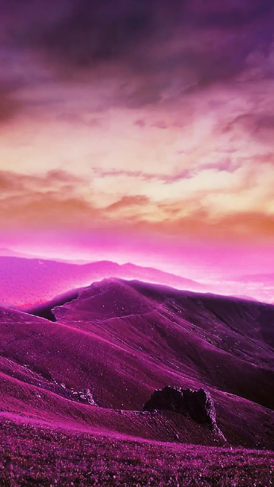 Full Frame HD of lovely nature pink purple as background 