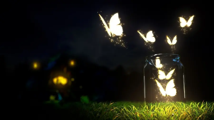 Fantasy butterfly photo for wallpaper