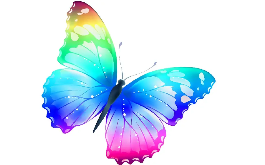 Colorful fantasy butterfly for profile