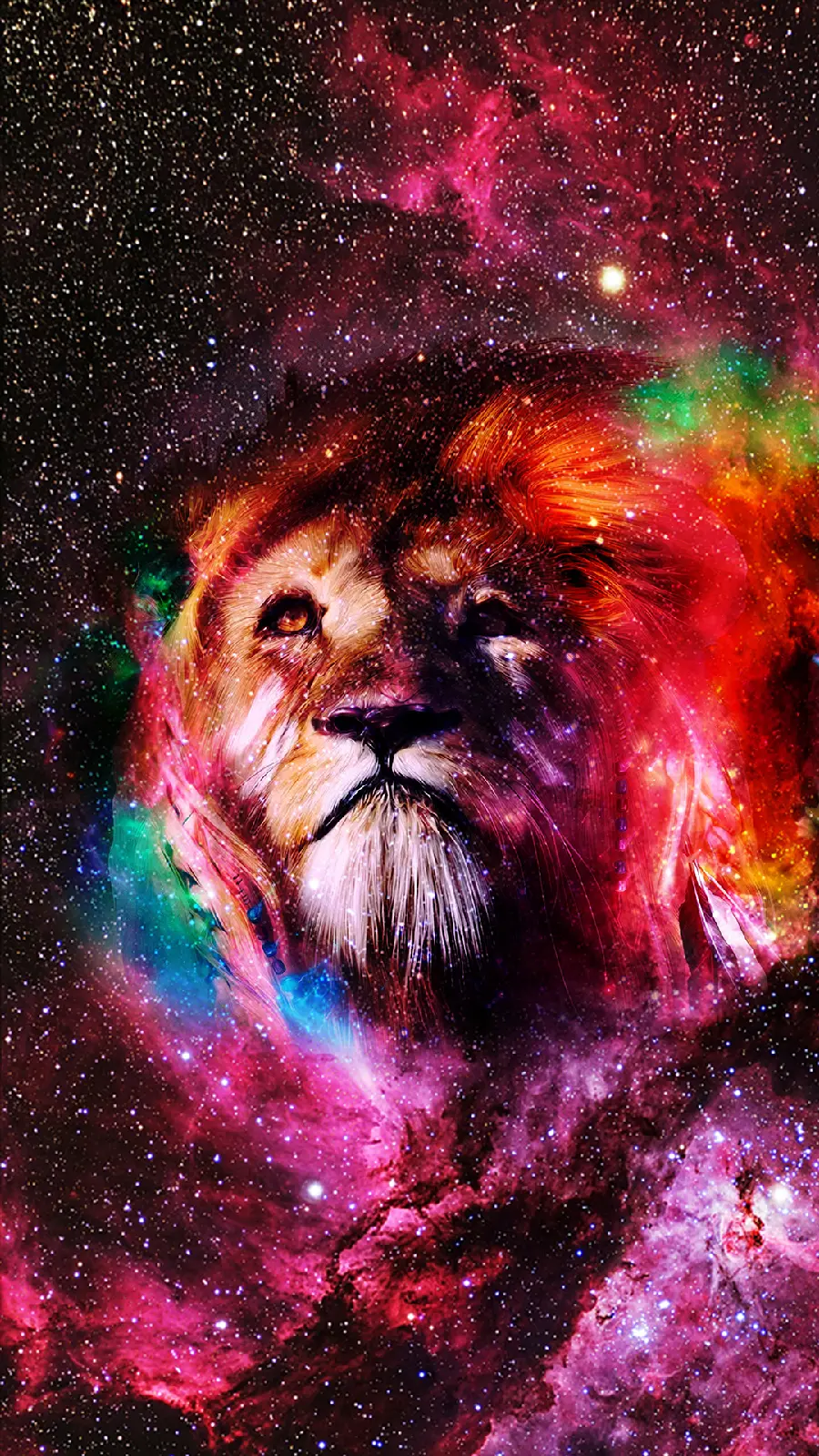 Stunning Lion Photo with Full HD Quality