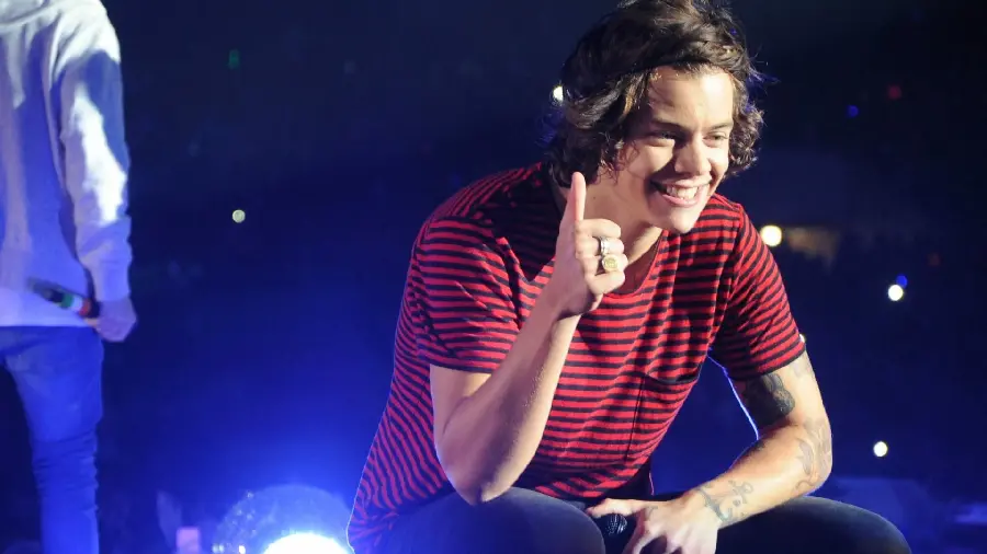 Spectacular image of Harry Styles attractive in a red and black T-shirt