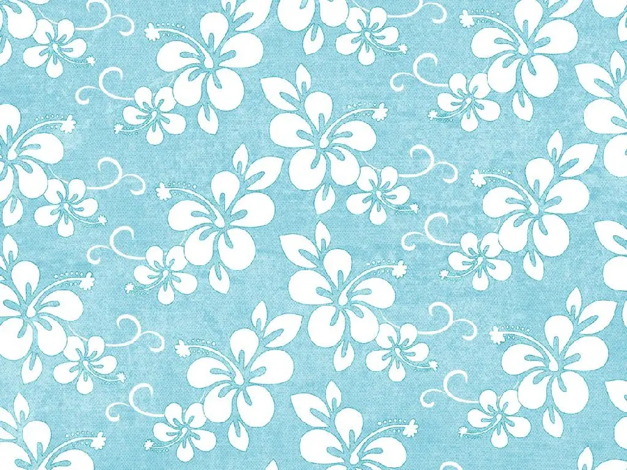 Best Photo Blue and white rose for laptop background 4K