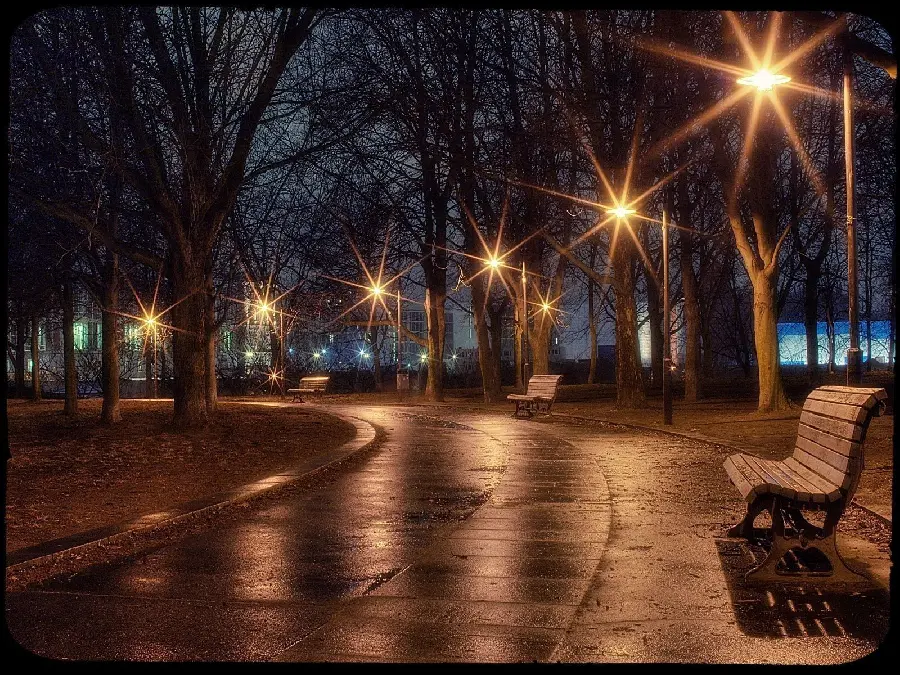 Beautiful Lonely Street Wallpaper with Bright Lights and Benches