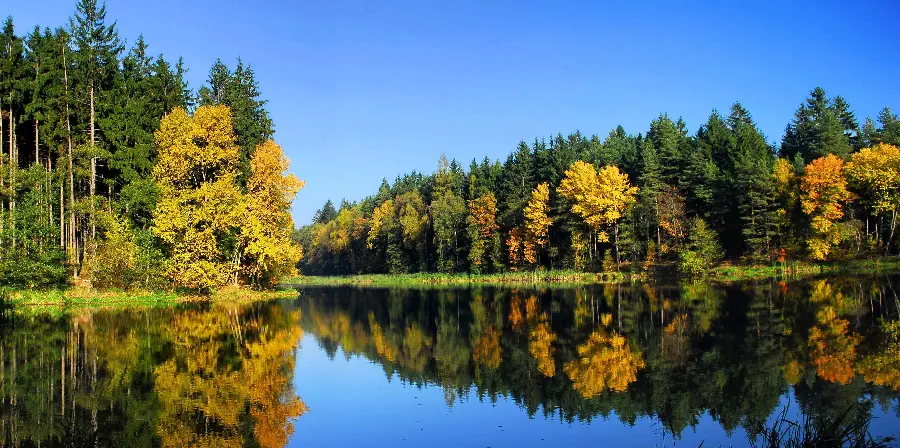 8K Photo of the Nature of the Czech Republic