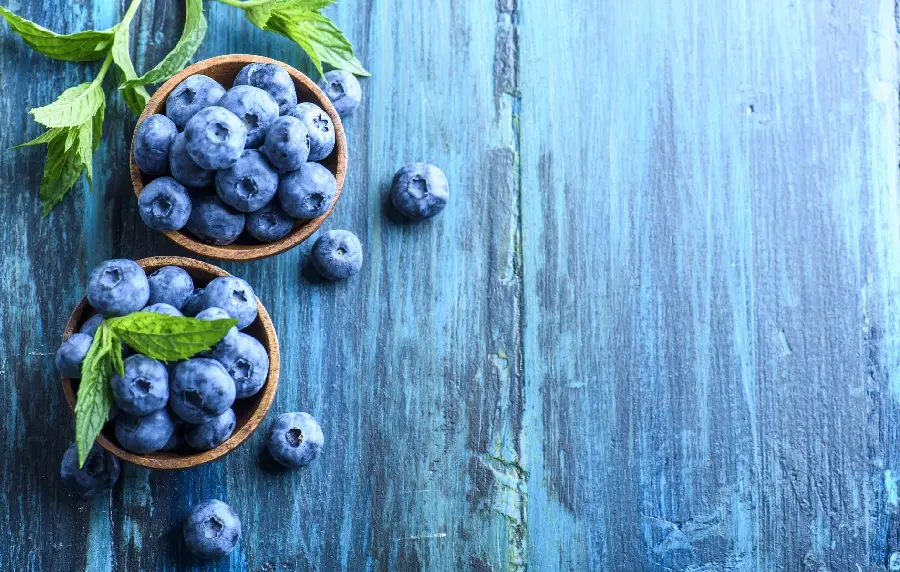Photo of wild fruit bush Blueberry