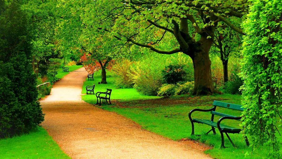 Beautiful green park in spring hd wallpaper for desktop