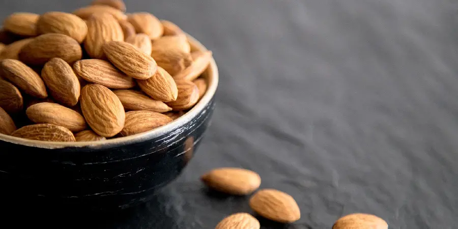Popular Useful Almond Tree Image with Super Quality