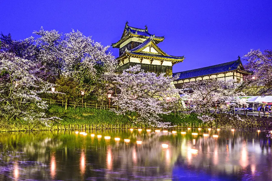 Best Picture of Korean Parks in Spring in Full HD Quality