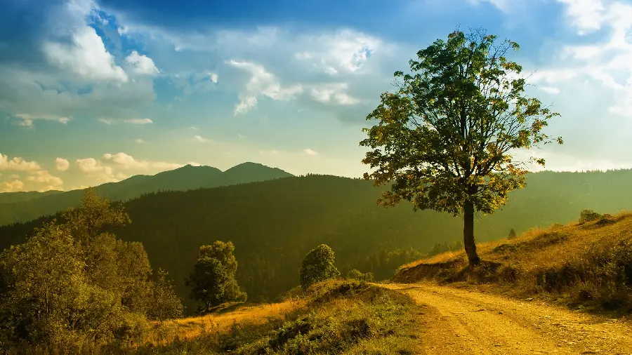 Free download Best Nature Wallpaper Laptop 2023 High Quality