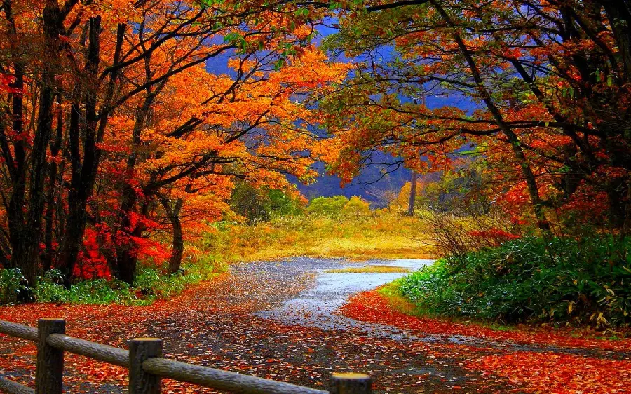 New Autumn background image for Laptop with Full HD quality