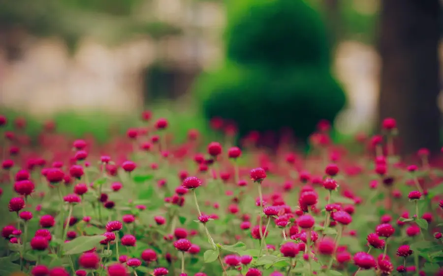 Eye-catching Photo of Spring Flowers Suitable for Background