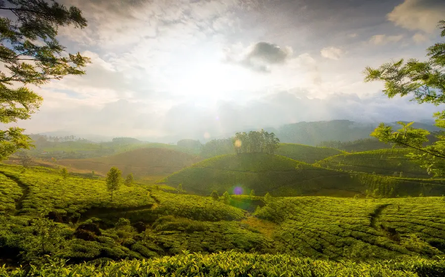 Beautiful wallpaper of the dreamy nature of India with excellent quality 