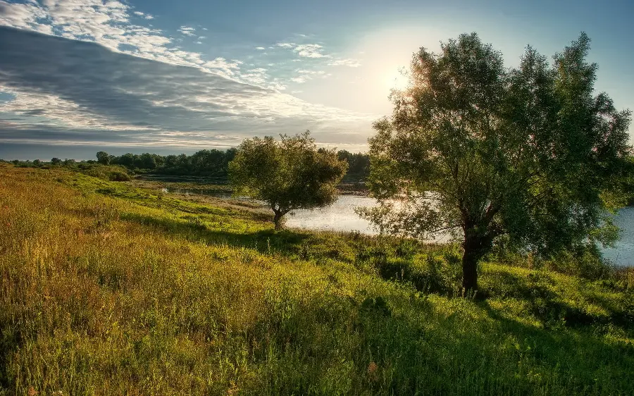 Nature background photo and nature background 2023 high quality