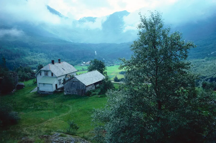 The latest romantic and dreamy photo of the green Scandinavian forest