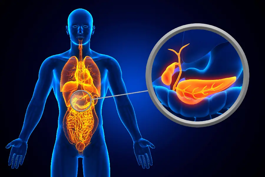 Gallbladder