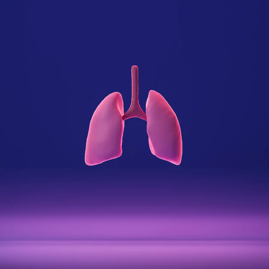Human lung wallpaper suitable for doctors and specialists
