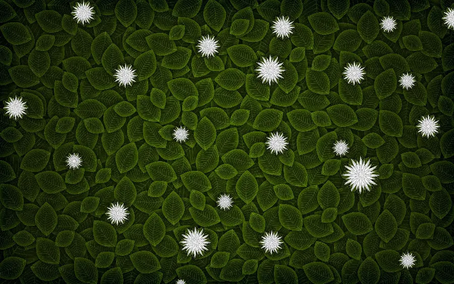 Girly wallpaper of white flowers in green nature for laptop
