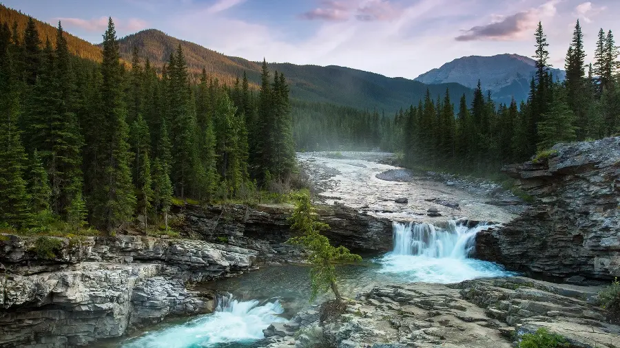 Background of a flowing and roaring river in the heart of pine trees for the computer