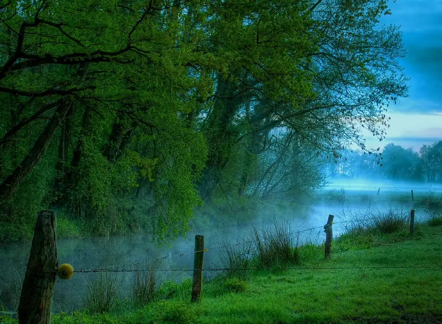 A dreamy, green Scandinavian nature wallpaper with high quality