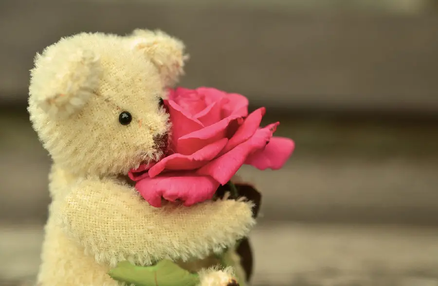 Cute romantic background of a white bear and a cute flower for a tablet