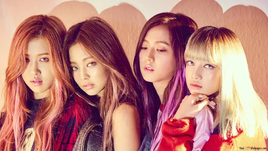Cute and beautiful Blackpink members' photo for story