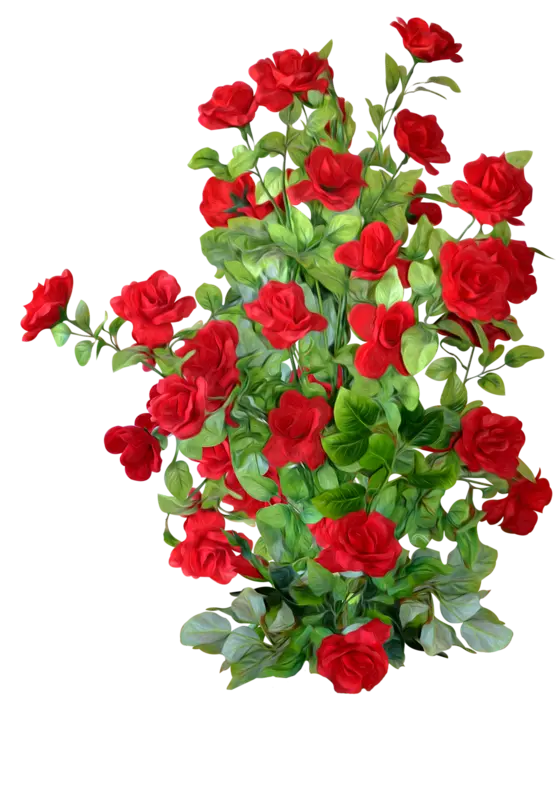 Red Flowers PNG Teleported