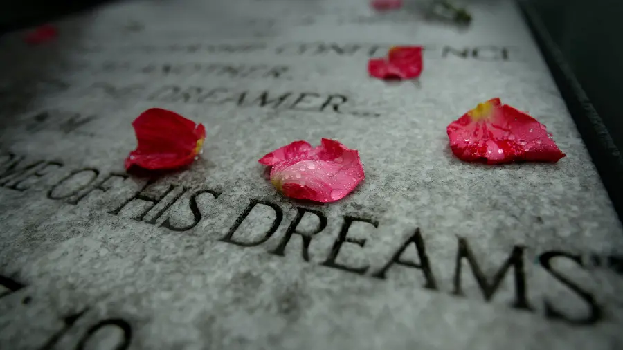 Sad romantic Mac OS wallpaper in 8k quality