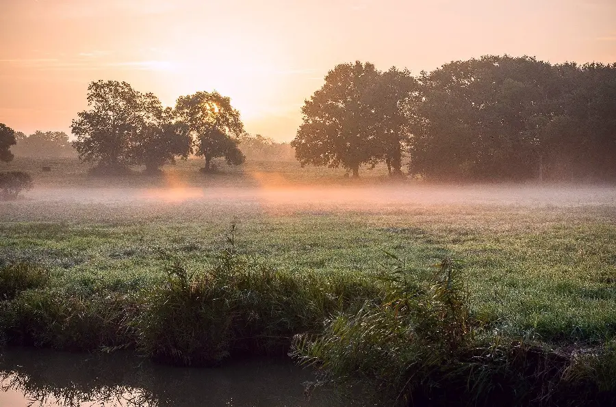 Photo of a sad spring morning